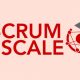 scrum@scale