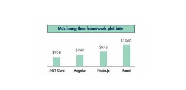 muc-luong-lap-trinh-vien-nhan-duoc-theo-framework-pho-bien
